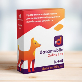 DataMobile Online Lite