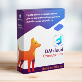 DMcloud: DataMobile Стандарт Pro